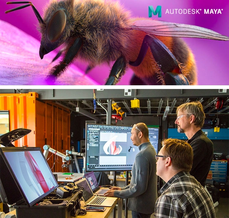 Maya 2020